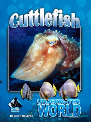 cover image of Cuttlefish